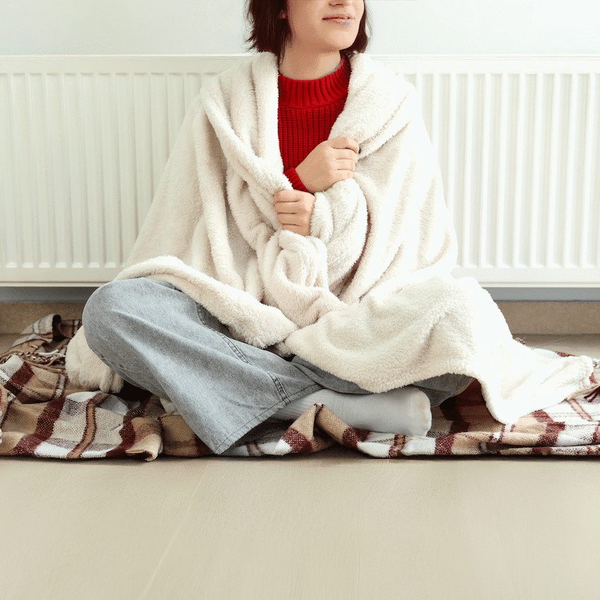 Elektra Comfort Electric Blanket - King - Fur - Image 2