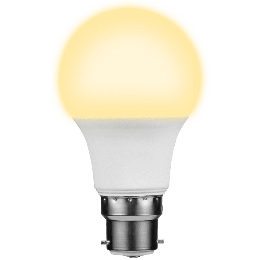 Switched 5w A60 Light Bulb B22 - Warm White - Image 3
