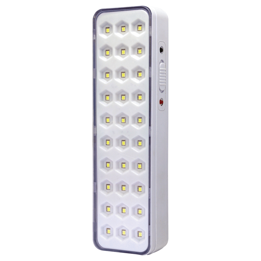 Switched 30 LED Emergency Light AC 150 Lumen