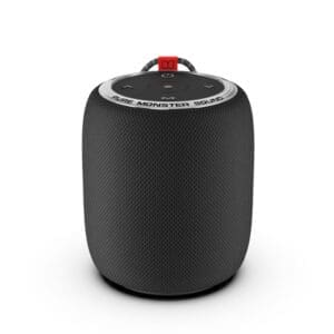 MS11901