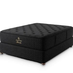 Gerald Yosh Hercules Double-Sided Latex Foam bed set