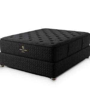 Gerald Yosh Hilton Gel Memory Foam bed set